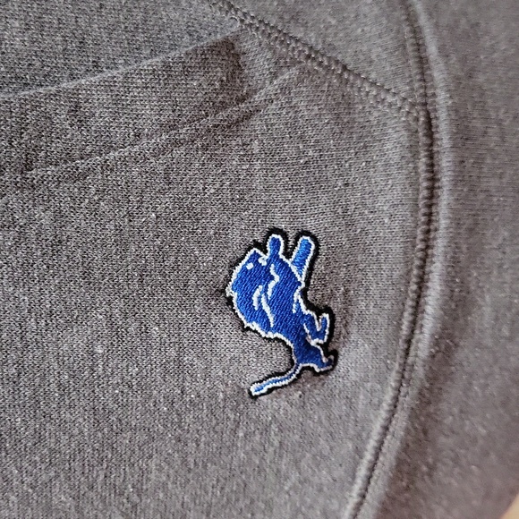 Victoria's Secret PINK Detroit Lions Hoodie - Picture 8 of 12